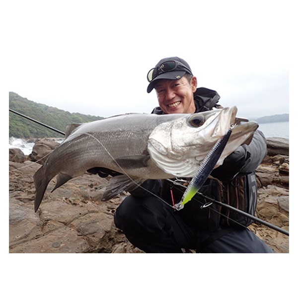 ショアラインシャイナーＺ　バーティスＲ　１２５Ｆ－ＬＩ　／　１２５Ｓ－ＬＩ